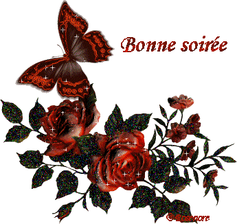bonne soir�e � toutes et tous !